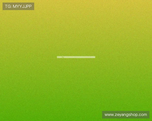 使命召唤3中文版重返二战战场的热血史诗与团队荣光协同作战体验